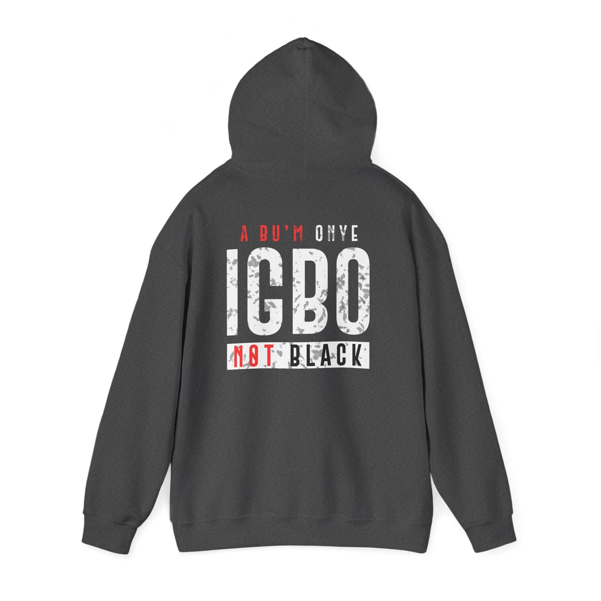 Not Back [D 4] - Igbo Hoodie