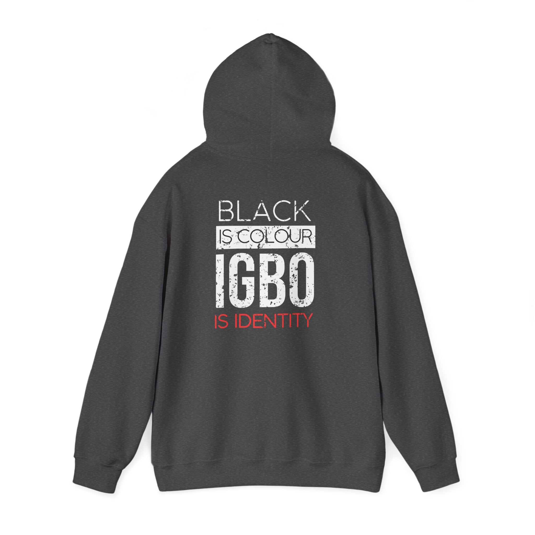Not Back [D 5] - Igbo Hoodie