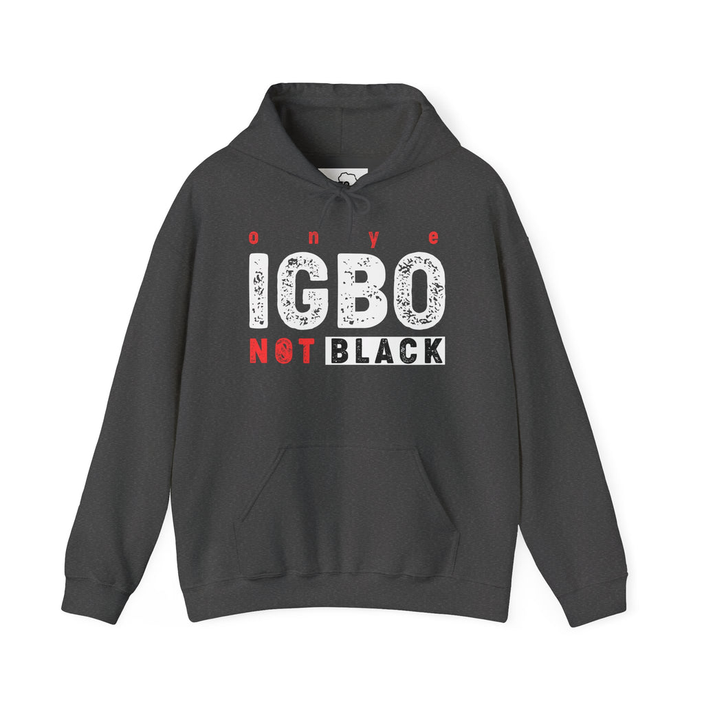 Not Back [D 6] - Igbo Hoodie