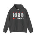 Not Back [D 6] - Igbo Hoodie