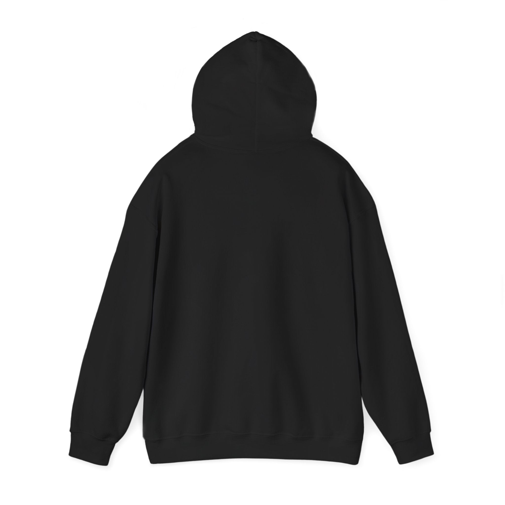 Not Back [D 1] - Igbo Hoodie