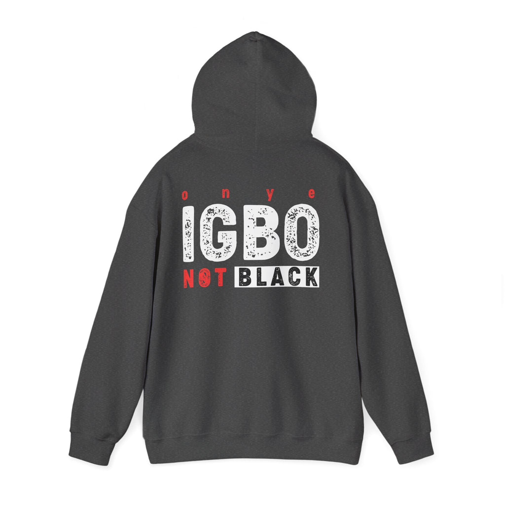 Not Back [D 6] - Igbo Hoodie